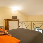 Rent 1 bedroom apartment of 30 m² in rome