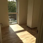 Rent 2 bedroom apartment of 50 m² in Aalborg