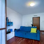 Rent 2 bedroom apartment of 58 m² in Milano