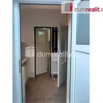 Rent 1 bedroom apartment of 40 m² in Mochov