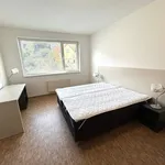 Rent 1 bedroom apartment in Praha 5