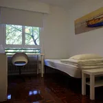 Rent a room of 120 m² in pamplona