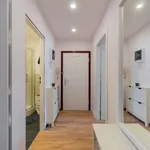 Rent 2 bedroom apartment of 60 m² in berlin