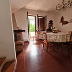 Rent 6 bedroom house of 115 m² in Viareggio