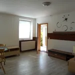 Rent 1 bedroom apartment in Hradec Králové