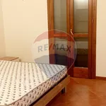 Rent 2 bedroom apartment of 50 m² in Ferrara