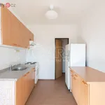 Rent 1 bedroom apartment of 42 m² in Praha