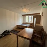 Rent 2 bedroom apartment of 60 m² in Mariánské Lázně