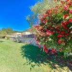 Wunderschönes neues Landhaus in einem sehr ruhigen Finca-Hotel mit Pool und Garten