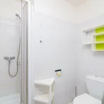 Rent 1 bedroom apartment in Prague