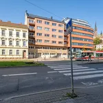 Pronajměte si 3 ložnic/e byt o rozloze 80 m² v Brno