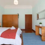 Rent 1 bedroom apartment in porto