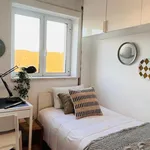 Alugar 6 quarto apartamento em Coimbra