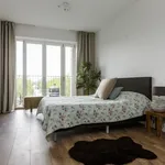 Huur 2 slaapkamer appartement van 84 m² in Amsterdam