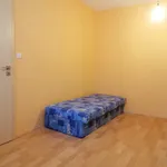 Rent 3 bedroom apartment in Uherské Hradiště