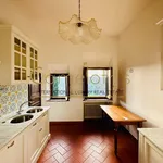 Rent 8 bedroom apartment of 300 m² in Firenze