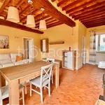 Rent 3 bedroom apartment of 90 m² in Perugia