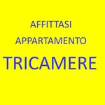 Affitto 5 camera appartamento di 130 m² in Nove