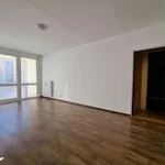 Rent 1 bedroom apartment of 73 m² in České Budějovice