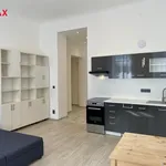 Rent 1 bedroom apartment in Capital City of Prague