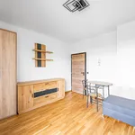 Rent 1 bedroom apartment of 28 m² in Prague