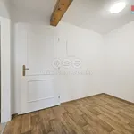 Rent 1 bedroom apartment of 47 m² in Studeněves