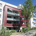 Rent 2 bedroom apartment of 55 m² in Toulouse