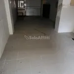 Affitto 5 camera appartamento di 100 m² in Jesi