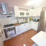 Rent 3 bedroom apartment of 100 m² in Roma