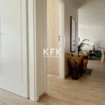 Rent 3 bedroom apartment of 57 m² in Toruń