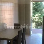 Rent 4 bedroom apartment of 95 m² in Roma