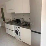 Rent 2 bedroom apartment of 55 m² in Torino