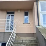 Rent 1 bedroom house in Capital City of Prague