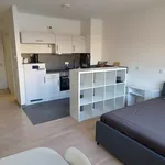 Rent 1 bedroom apartment of 30 m² in München