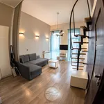 Rent 1 bedroom apartment of 40 m² in Wrocław