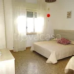 Rent 3 bedroom apartment of 63 m² in Cecina