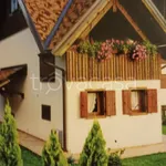 Villa in in affitto da privato a Ravascletto via Monte Zoncolan, da privato - TrovaCasa