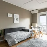 Via Clemente Maraini, Paradiso - Amsterdam Apartments for Rent