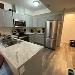 Rent 1 bedroom house in Kingston