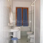 Rent 4 bedroom apartment of 75 m² in Perugia