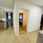 Rent 4 bedroom apartment of 75 m² in Mainz