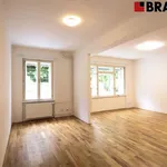 Pronajměte si 1 ložnic/e byt o rozloze 41 m² v Brno