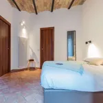 Rent 1 bedroom apartment in Rome