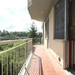 Rent 3 bedroom apartment of 50 m² in Siena