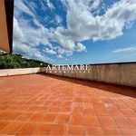 Rent 5 bedroom house of 200 m² in Seravezza