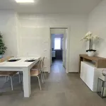 Rent 4 bedroom apartment in Bologna