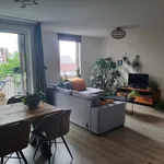 Huur 2 slaapkamer appartement van 59 m² in Nieuw-Rhijngeest