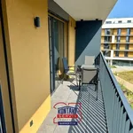 Rent 2 bedroom apartment in České Budějovice