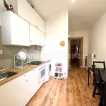 Rent 2 bedroom apartment of 55 m² in Turin