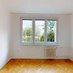 Pronájem, cihlový byt 2+1 Tábor, 49 m2